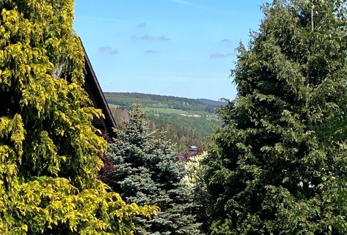 Ferienwohnung Kleine Auszeit Winterberg Fuer 2- 4 Personen Zewnętrze zdjęcie